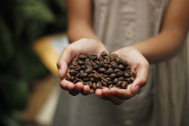 What is Fairtrade Coffee?